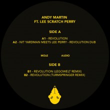 Andy Martin ft Lee Scratch Perry - Revolution (Mole Audio)