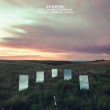Lane 8 & Channy Leaneagh - Survive (Sultan + Shepard Remix) (This Never Happened)