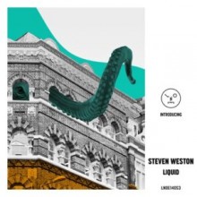 Steven Weston - Liquid (Last Night On Earth)
