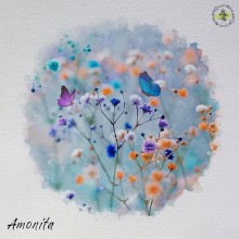 Amonita – Wilwarin (Forestrip Music)