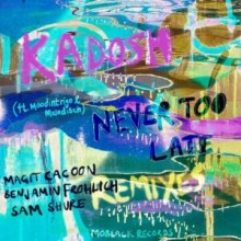 Kadosh (IL), Moodintrigo, Mëlodisch - Never Too Late Remixes (MoBlack)