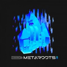 VA - Metaroots 2 (Suara)