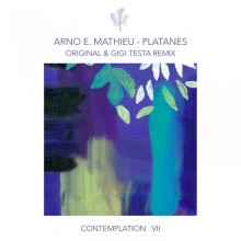 Arno E. Mathieu - Contemplation VII - Platanes (Compost)