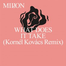 Miljon - What Does It Take (Kornél Kovács Remix) (Studio Barnhus)