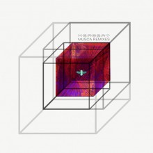 Matthew Herbert - Musca (Remixes) (Accidental)
