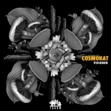 Cosmokat - Visionen (Traum)