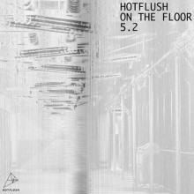 VA - Hotflush On The Floor 5.2 (Hotflush)