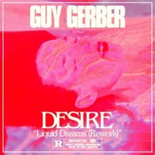 Desire - Liquid Dreams (Guy Gerber Rework) (Italians Do It Better)