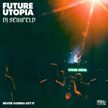 Future Utopia x DJ Seinfeld - Never Gonna Get It (70Hz)