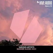 V.A. - Hive Audio Summer Slices 2022 (Hive Audio)