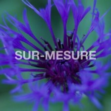 VA - Sur-Mesure (Moodmusic)