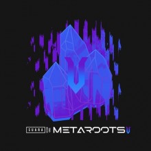 VA - Metaroots 5 (Suara)