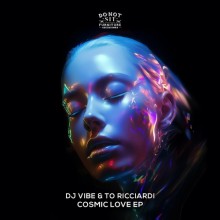 DJ VIBE, To Ricciardi - Cosmic Love (Do Not Sit On The Furniture)