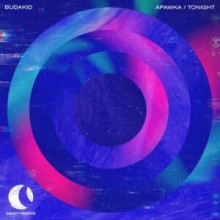 Budakid - Apawka / Tonight (DAYS like NIGHTS)