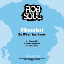 Vibezelect, Jah Ques, Cory Wells - Do What You Know (Robsoul)