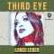 Lance Leber – Third Eye (Roundi Music)