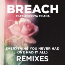 BrEaCh-Everything-You-Never-Had-We-Had-It-All-Remixes-240x240