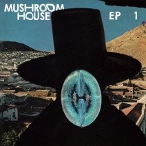 VA-Mushroom-House-EP1-TOYT052
