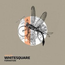 Whitesquare-Formation-MOBILEE188
