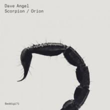 Dave-Angel-Scorpion-Orion-BEDDIGI71