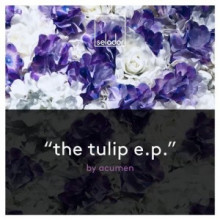 Acumen-The-Tulip-EP-SEL093-300x300
