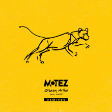 Motez - Steady Motion Remixes