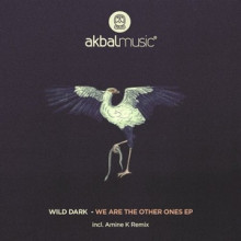 Wild Dark - We Are The Other Ones EP (Akbal Music)