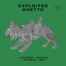 Ant LaRock - Grown Ups (Exploited Ghetto)