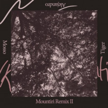 Rey&Kjavik - Mountiri Remix II (RKJVK)