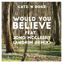 Catz ‘n Dogz - Would You Believe feat. Jono McCleery (andhim Remix)