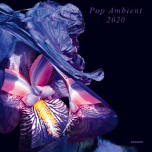 VA - Pop Ambient 2020 (Kompakt)