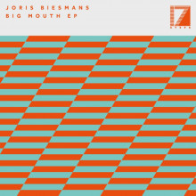 Joris Biesmans - Big Mouth (17 Steps)