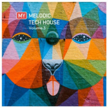 VA - My Melodic Tech House Vol. 3 (Push Communications)