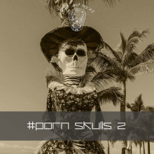 VA - Porn Skulls 2 (Skull And Bones)