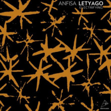 Anfisa Letyago - Electrifying (Hotflush)