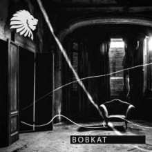 Sisko Electrofanatik, Alex Rubino - Bobkat (Extended) (We Are The Brave)