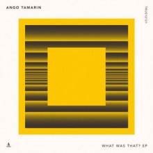 Ango Tamarin – What Was That? (Truesoul)