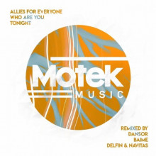 Allies for Everyone - Who Are You Tonight (Motek)