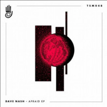 Dave Nash - Afraid (Truesounds)