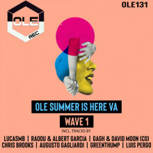 VA - Ole Summer Is Here VA Wave 1 (Ole)