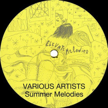 VA - Summer Melodies (Elevate Melodies)