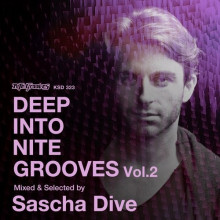 VA - Deep Into Nite Grooves, Vol. 2 Mixed & Selected by Sascha Dive (Nite Grooves)
