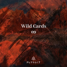 VA - Wild Cards 09 (Pursuit)