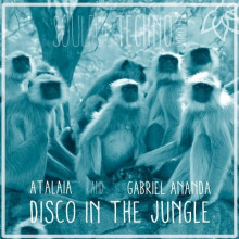 Gabriel Ananda, AtalaiA - Disco In The Jungle (Soulful Techno)
