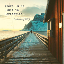 Lebedev (RU) - LEBEDEV (RU) - THERE IS NO LIMIT TO PERFECTION LP (Rhythm Section)