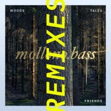 Mollono.Bass, & Matan Caspi & Einmusik & Paul Ursin & I Am Halo - Woods, Tales & Friends Remixes - Part 1 (3000 Grad)
