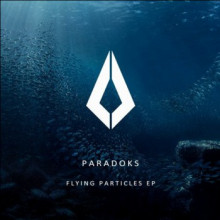 Paradoks - Flying Particles (Purified)