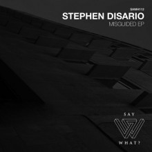 Stephen Disario - Misguided (Say What?)