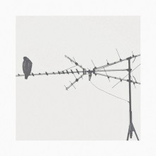 T Raum, Johan Mila - Confused (Crow)