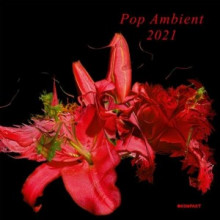 VA - Pop Ambient 2021 (Kompakt)